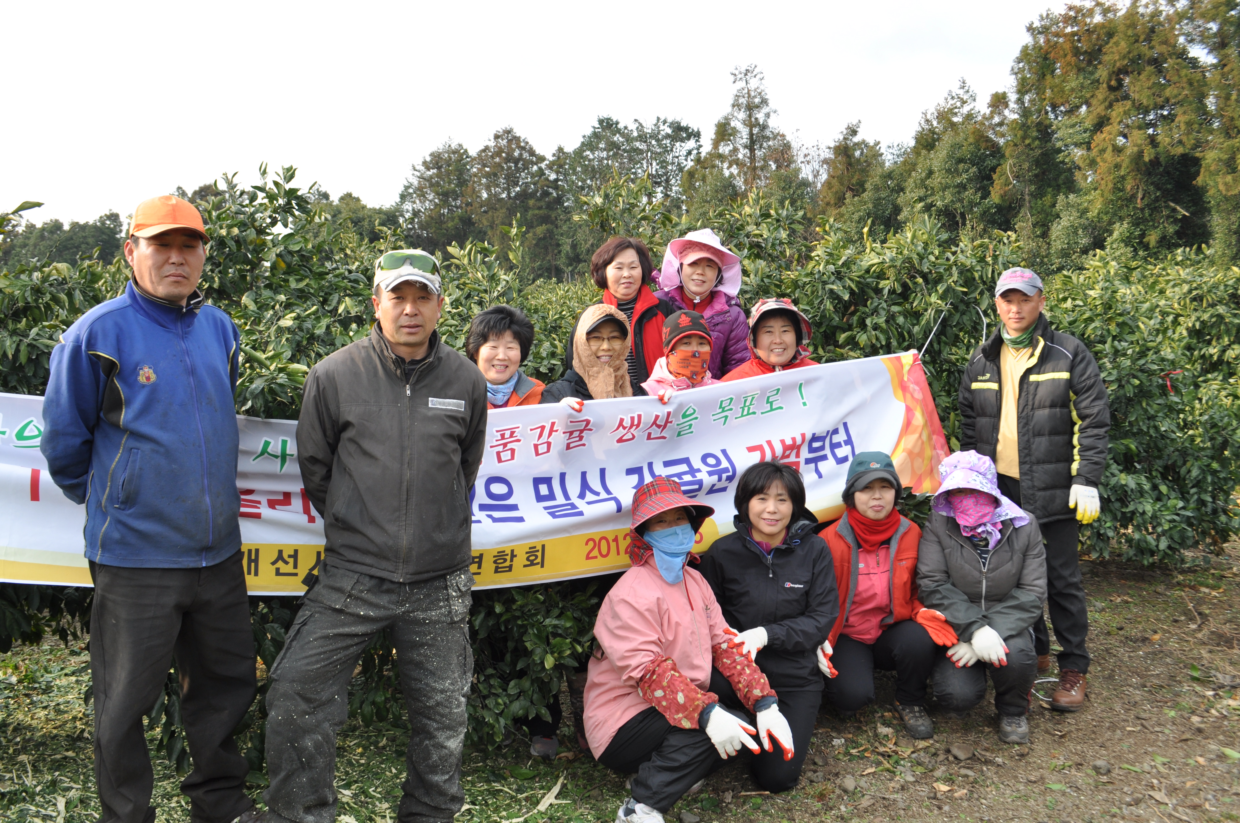 생활개선서귀포시연합회, 간벌봉사활동 실시